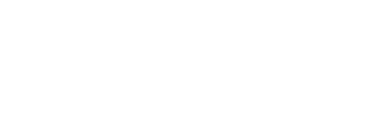 lynchs flowers derry logo2