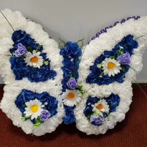 Silk Butterfly